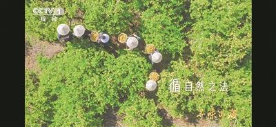 央视《寻味山海》贵阳篇播出