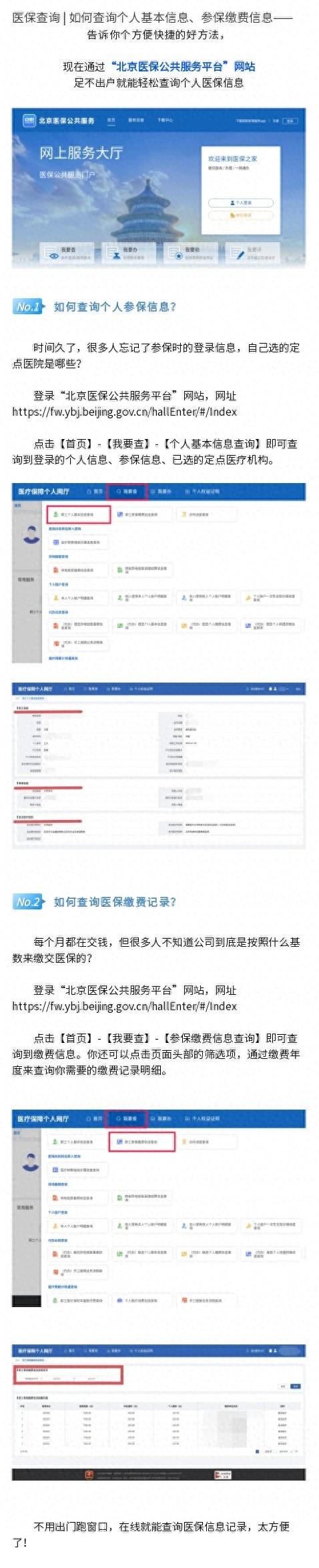 医保查询 | 如何查询个人基本信息、参保缴费信息——