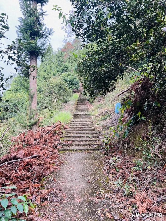 领略浙东丹霞地貌！仙居户外经典穿越线路，二小时可至！