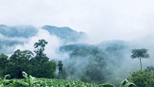 我跟孩子在湖南湘西呆了半年，终于明白，为啥大家都来湘西了