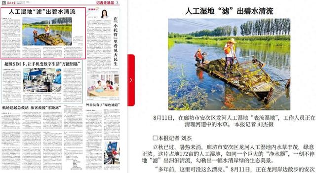 河北日报：人工湿地“滤”出碧水清流
