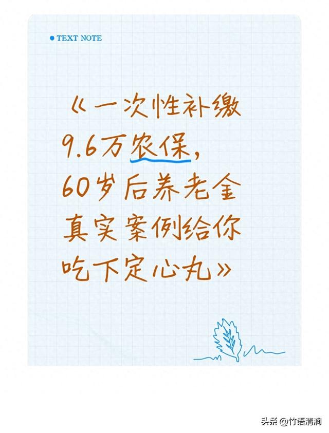 一次性补缴9.6万农保，60岁后每月能领多少钱？3个真实案例算清账