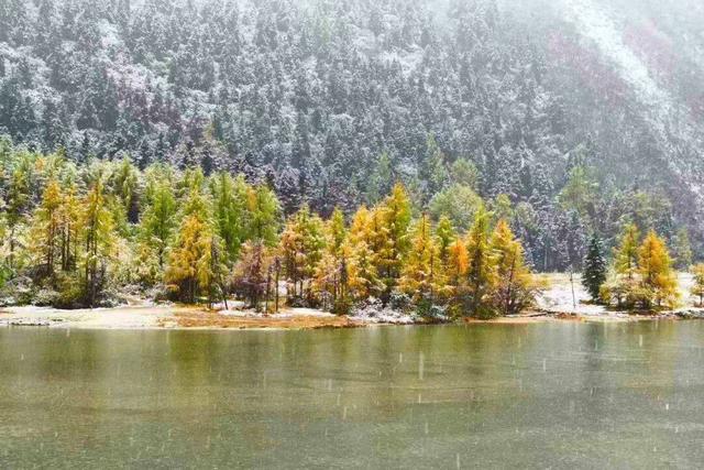 彩林逢初雪！毕棚沟2025“花样遛娃”徒步活动收获满满！