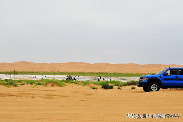海边游记｜沙海狂飙与绿洲寻踪：内蒙古腾格里沙漠一日“历险记”
