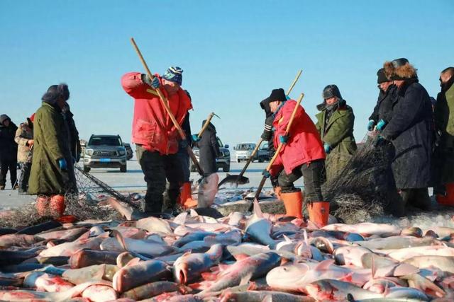观长白丨年年有“鱼”！查干湖冬捕现场，为何当地人都说起一条河的故事？