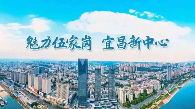 速来打卡！宜昌这里近千株梅花绽放