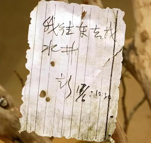 消失45年的彭加木：一场精心策划的逃亡？隐藏在罗布泊的离奇秘密