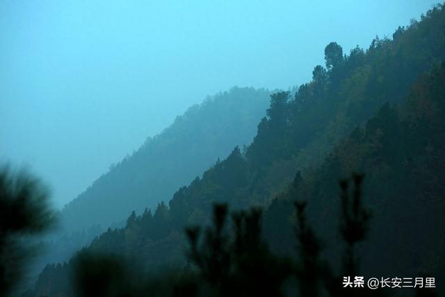 蓝田辋峪，触摸王维的银杏