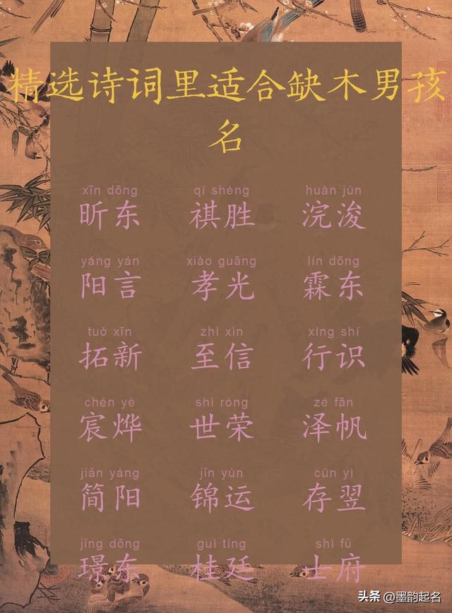 五行缺木的男孩起名（男宝起名林间松韵）
