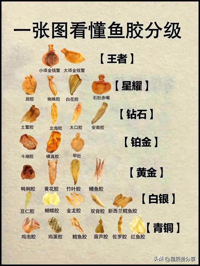 花胶泡发对比 2026年花胶泡发前后比例