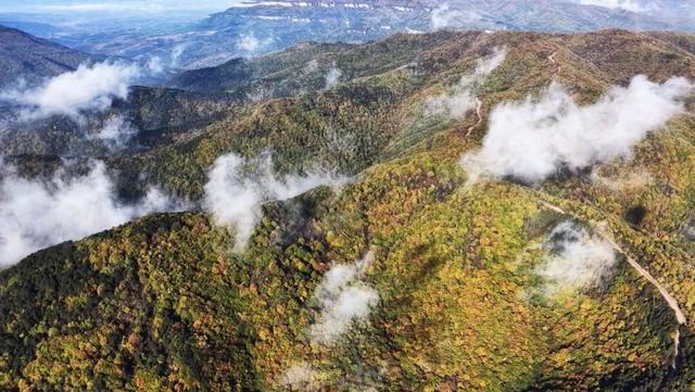 汾西姑射山：金秋红叶进入最佳观赏期 层林尽染绘就秋日画卷