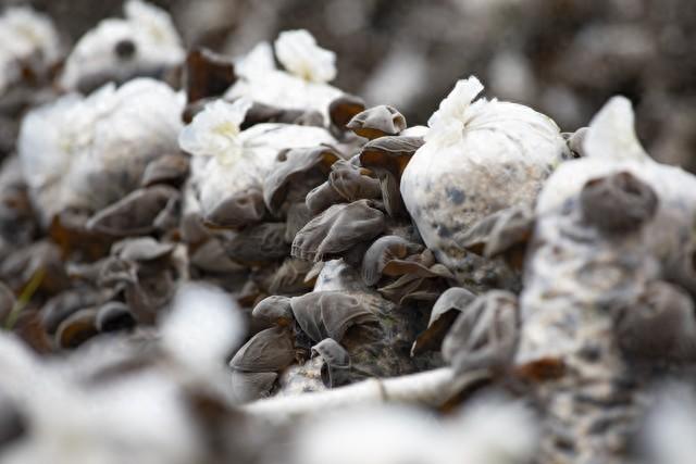 上个月去了宁德古田，我实话实说：当地人的素质让我眼界大开～