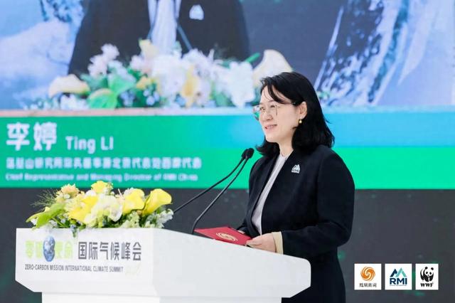 落基山研究所李婷：中国已构建起全球最大可再生能源系统