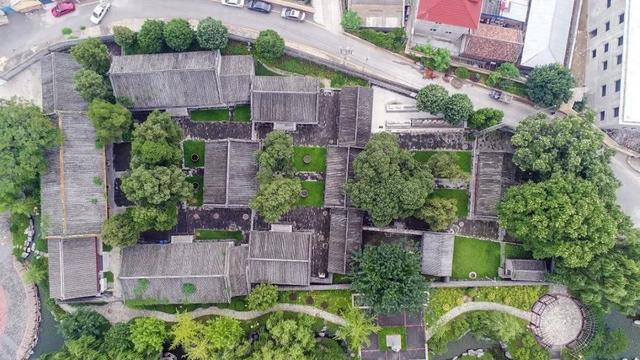 顺义唯一一处古树群，在——