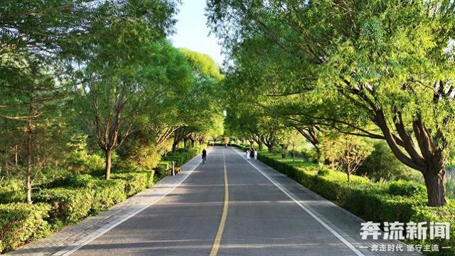 奔流城市计划·张掖丨一汪湿地润甘州