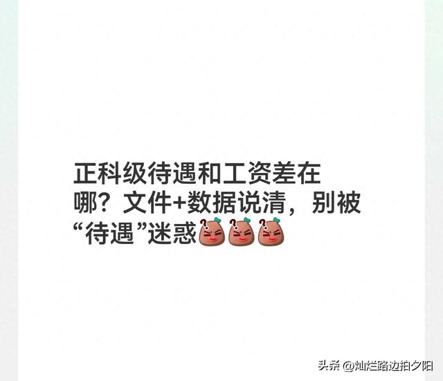 科级干部办公室面积标准2022（正科级待遇和工资差在哪文件数据说清）