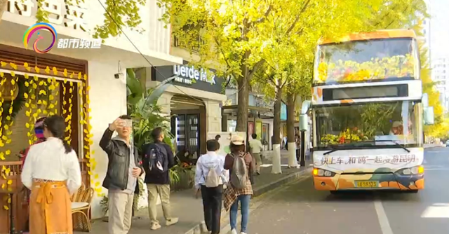 昆明冬日限定浪漫！坐着双层巴士赏银杏、观红嘴鸥