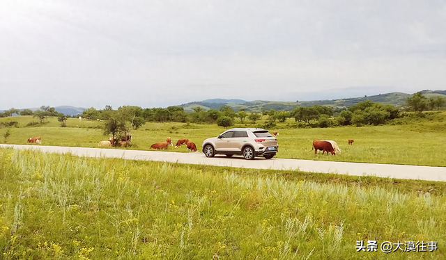 【原创】说走就走，草原行（五）