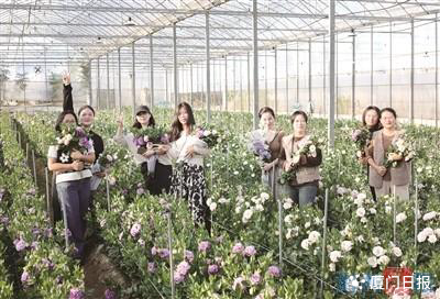 海沧草莓、集美脐橙、同安青提、翔安洋桔梗……岛外各区花果飘香邀您趣玩