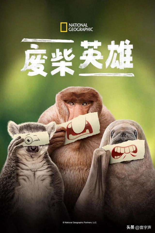 不忍直视却上头！8.9分纪录片拍 “边缘物种”，撕开自然浪漫假象