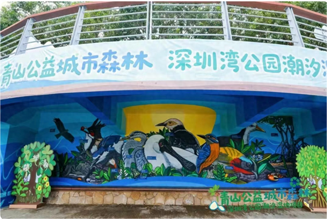 “山海连城”又上新了！深圳湾这个项目正式对公众开放
