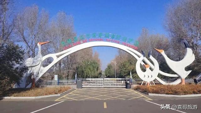 莫莫格国家级自然保护区：天地无垠处，万羽共徘徊