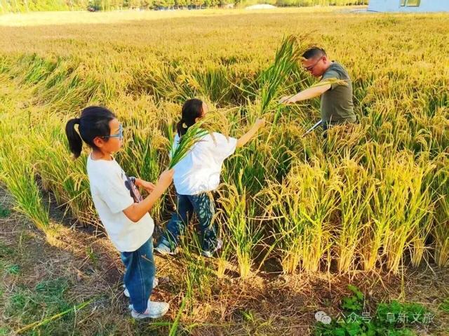 我们的节日｜阜新市特色活动拉动文旅消费