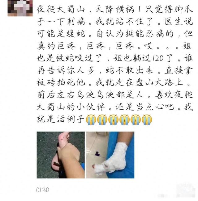 合肥一市民夜爬大蜀山被毒蛇咬伤，仍在住院留观，公园管理处呼吁：尽量避免夜间登山，很多野生动物夜间出没