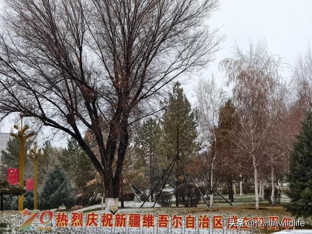新疆昌吉头屯河公园