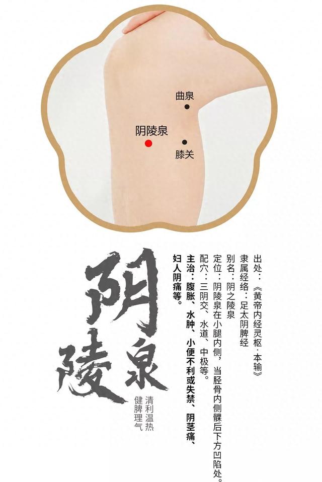 膝盖内侧下方按压疼痛（阴陵泉穴健脾祛湿的小腿主力穴位置功效全指南）