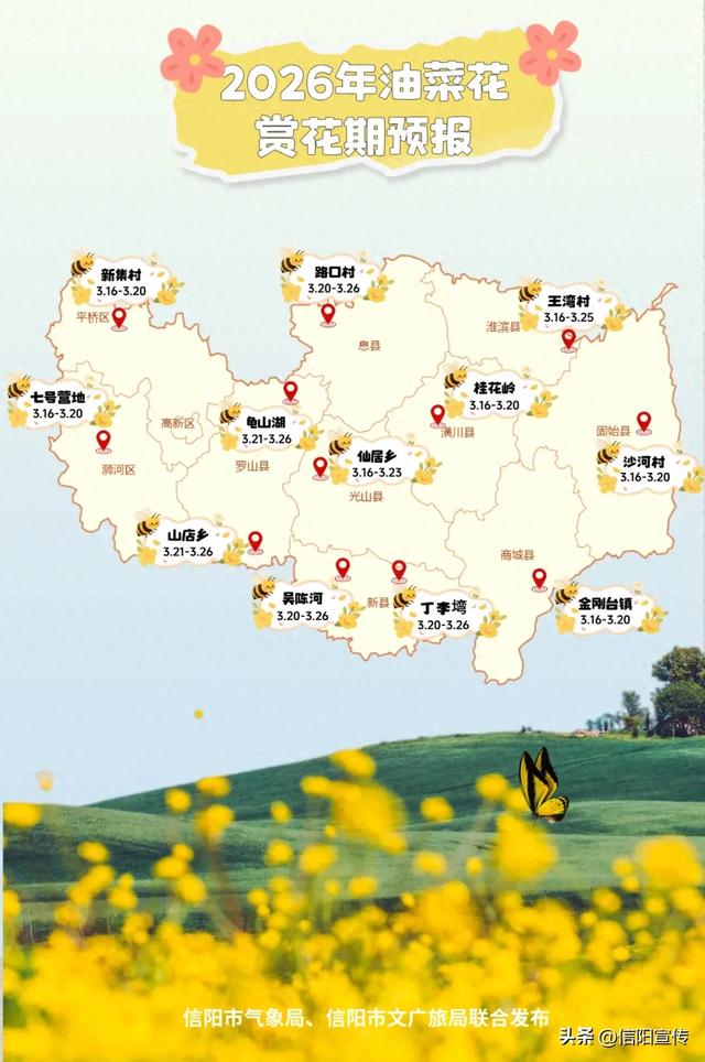油菜花赏花攻略来了！快来信阳赴一场金色浪漫~