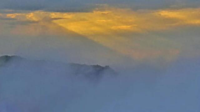 藏不住了！看一眼就“沦陷”！