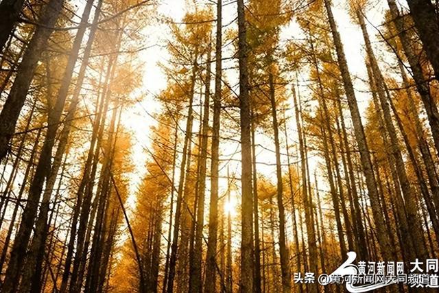 错峰出游正当时 浑源文旅热度持续攀升