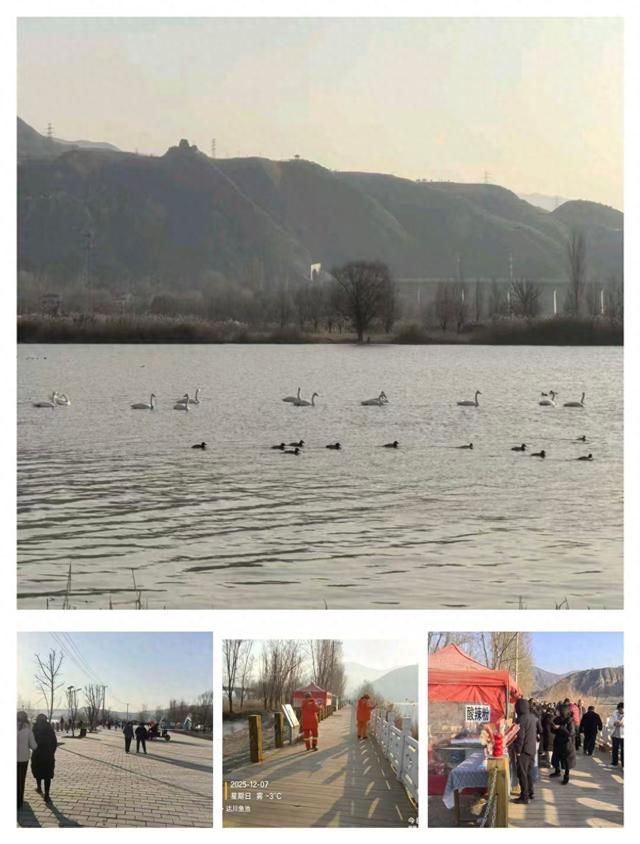 【达川水镇•生态环境保护】达川镇：守护生态家园 共赏湿地美景