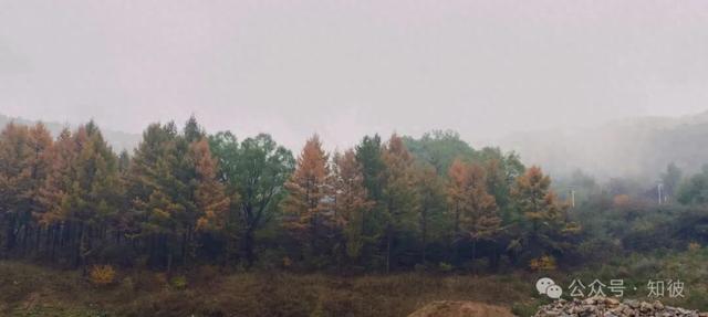 终于还是认识了天峻山的真面目 作者:马青山