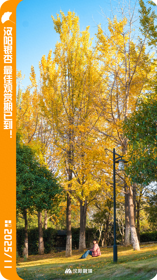 限时绝美！汉阳全城颜值巅峰，零换乘直达