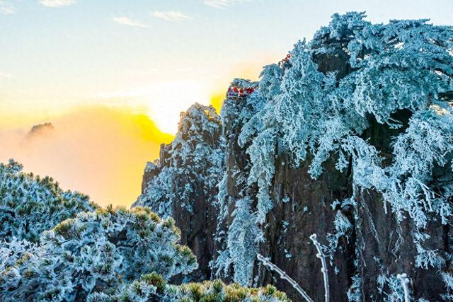 第1现场｜黄山入冬：雾凇云海日出 “三景同框”