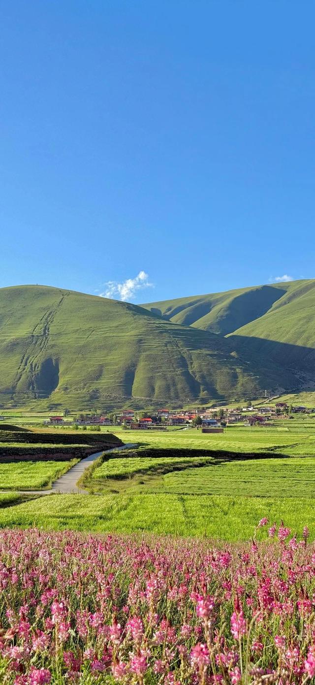 手机壁纸|清新的自然美景，风光无限