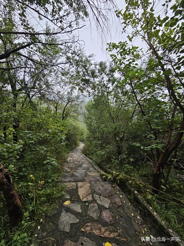 幽静的森林，秘境的山谷，一起打卡吧，一起探寻吧，一起走吧！