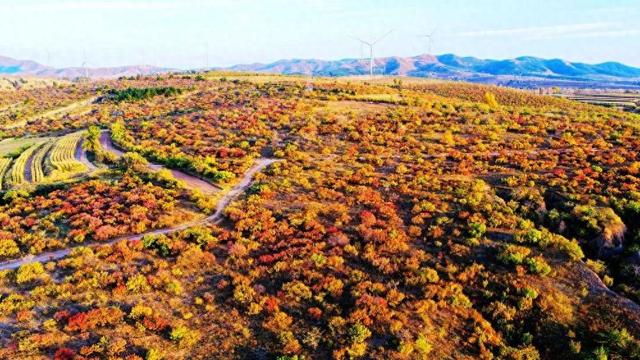 330.47万人来赤峰！国庆中秋假期赤峰市人气爆棚