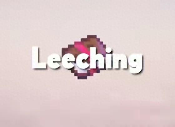 我的世界骑海龟方法介绍（我集成了所有我的世界最棒的功能）