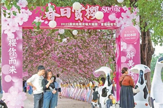 连连看梦幻农场游戏（樱花绽放）