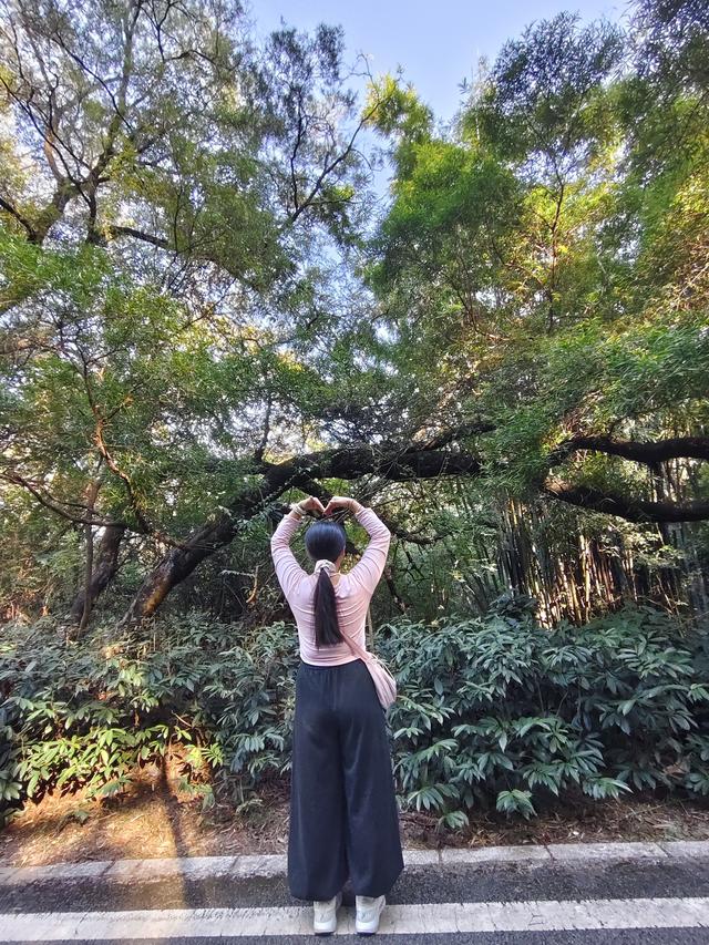 周末一定要走出去：把生活还给自然，把能量还给自己。