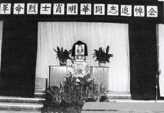 82年台湾老人带一盒骨灰回到大陆，中央：补开追悼会，葬进八宝山