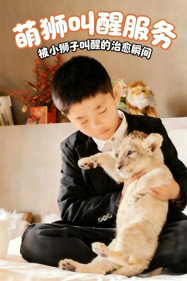 【萌狮叫醒服务】上线！快来给“最萌查房官”取个神仙名字吧！