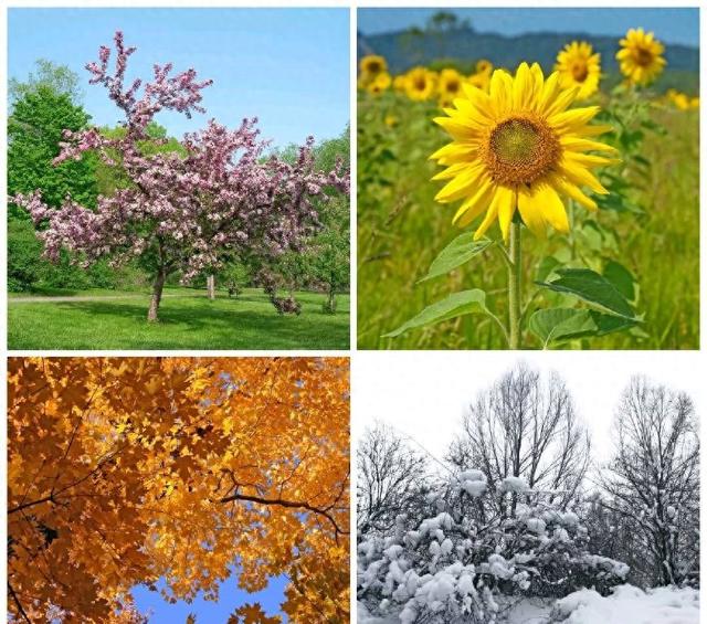 一年四季那个季节风景最美？