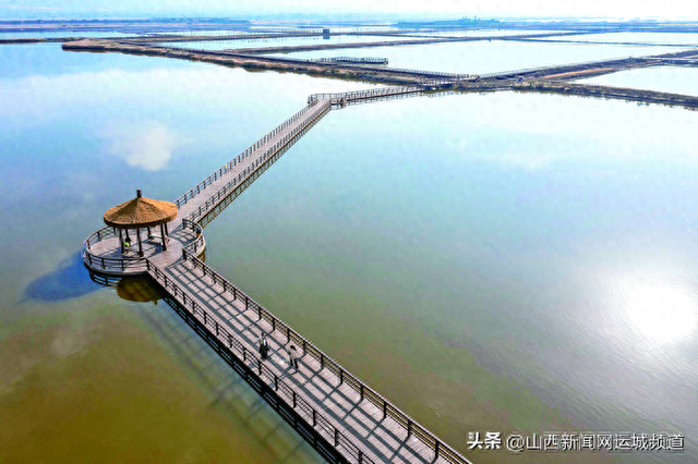 木栈道上 亲水观光