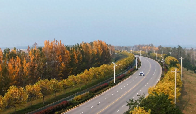 刷爆朋友圈！临潼这条“鎏金公路”，藏着不为人知的美→