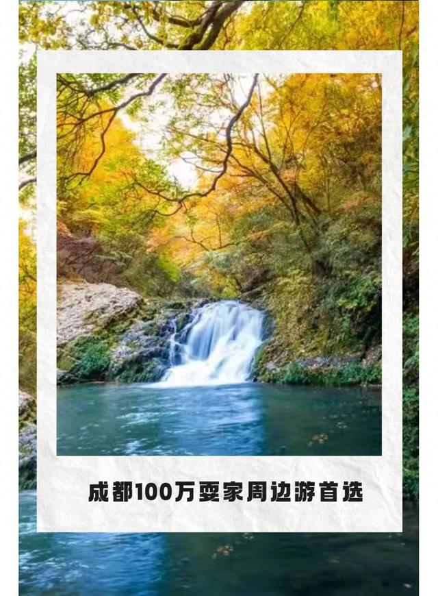 成都出发2.5h刹拢最绝红叶之城！秋色媲美九寨，一城吃够三省美食！更有山林温泉泡过瘾！