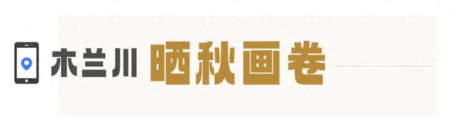 武汉版“小川藏”！黄陂8条绝美自驾线来啦